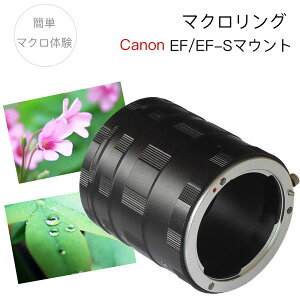 y[֑zyCanon EF EF-S}Egpz}NGNXeV`[u EF / EF-S}Egp }NO ڎʃO ԃO EosKiss X50 X6i X7 X7i X8i X9i X10i Eos 90D 80D 7Dmk2 6Dmk2 8000D 9000