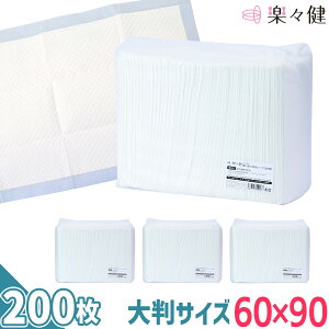 yX ĝ hV[c 1P[Xi50x4܁j 60cm×90cm zʁF500mli3/1150mlj e  AR ˂΍ hV[cyz