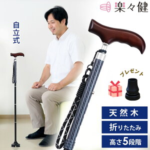 yp告k JďCz yX  ܂肽ݏuNXebLv amTCY 85/88/91/94/97cm 5iK j 4_ 1_ y ܂肽 [  U ubN 