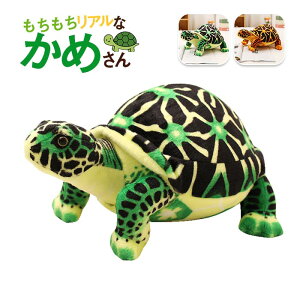 AŃJt ߂ʂ TCY38Z` Sn {iIȗKfUC nAj} Iׂ2F O[ uE mߋƂĂœK CeA