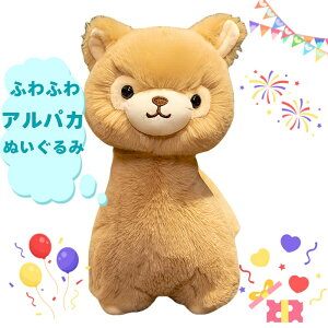 ققApJʂ Iׂ2TCY 23Z` 30Z` zCgƃL2F _炩Gɍ̂tH킢fUC  mߋ t@[XggC 