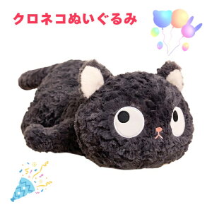 ˂ʂ  nAj} Iׂ2TCY 55Z`E65Z` 傫Ȗڂ킢NlR LfUC 킢ăIV NbVƂĂō CeA