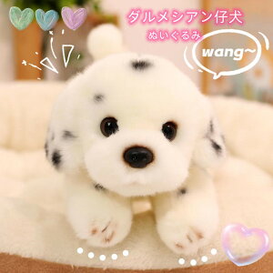 _VAʂ 킢q 25Z` 35Z` 2TCYIׂ _VAe ʂ Ƒ傫Ȃ@ ȂqlɍœK oYj⌋j av