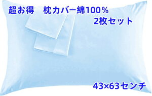  100Jo[ 2Zbg TCY43×63cm@ŎtȒP@Iׂ1Ƃ2g VvȖnCgu[̍鐶n@ǎōȒɍזȎgp