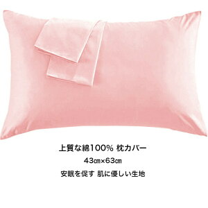 Jo[ ㎿Ȗ100 300{xn zei _̂悤ɏ_炩ȎG肪  h_j R hL Iׂ8F (43×63cm)