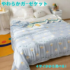 炩^IPbgEK[[Pbg@4TCY8^CvIׂ 100% ɂ₳  ӂӂ@zRoɂ z RAM[@h_j hL oYjEjEãv