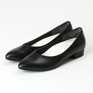 AcureZ(ALA[Y) VJbg pvX tbgV[Y p[eB[ Zj[ fB[X [q[ { AO-10193S AVbNX 25aw_n