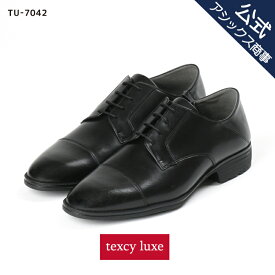 texcy luxe(テクシーリュクス) ビジネスシューズ 革靴 メンズ men's 就活 本革 抗菌 防臭 外羽根式 ストレートチップ 3E相当 24.5-28.0 TU-7042 アシックス商事 23aw_n