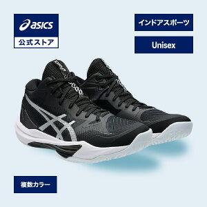 AVbNX SKY ELITE FF MT 3 XJC G[g FF MT 3 ChAX|[cV[Y jZbNX STANDARDbog~gAXJbVAo[{[Anh{[Ή  ChA ChAp 