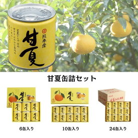 【JAあしきた】甘夏 缶詰（6缶／10缶／24缶）　【送料込み】