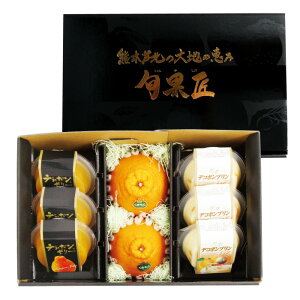 yYn^݁z{ʏ - 񂩂傤 -ij@yYn^݁zy2025N12{`Nɂ͂zfR|  [[ v l F{ JA _ F{