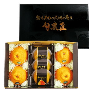 yYn^݁z{ʏ - 񂩂傤 -ijyYn^݁zy2025N12{`Nɂ͂zfR|  [[ v l F{ JA _ F{