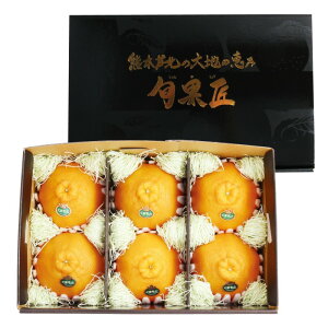 yYn^݁z{ʏ - 񂩂傤 -iQjy2025N12{`Nɂ͂zfR|  F{ JA _ F{Y Mtg Ε i