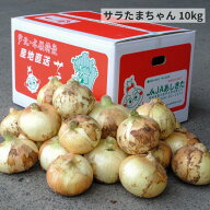 ☆5月発送☆【JAあしきた／送料込み】切り玉 サラたまちゃん 10kg （LA〜Mサイズ混合 40〜50玉前後） 熊…