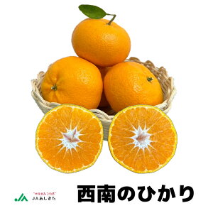 �yJA���������z����̂Ђ���i�݂���j 5kg �i��20�ʁj �y�Y�n�����^�������݁z�y2025�N12�����ɂ��͂��z ���������_�� JA �F�{���Y ���n �݂��� �Y�n����