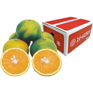 yJAz XC[gXvOi5kg^10kgjyYn^݁z F{Y 󏭊k