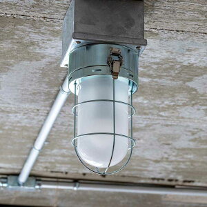 1V[OCg ZJ[N ^SELKIRK ^RELEDdZbg^V[OCg^1Cg^COLORFSILVER^Vo[