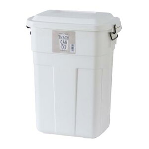 gbVJ 30L [zCg]