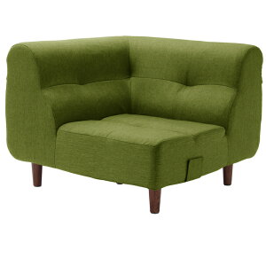 August\t@ R[i[yozrT@200mmA529-C [^XNO[]