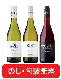 ニュージーランド ワイン アランスコット 赤 白 3本 ギフト セット No.1 ソーヴィニヨンブラン ピノグリ ブラックラベル ピノ ノワール【 包装 のし 送料無料 】人気 赤ワイン 白ワイン プレゼント ピノノワール アラン スコット