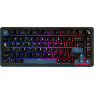 Ducky OK-M 75% �����Q�[�~���O�L�[�{�[�h �u���b�N�bDKOKM2583-KWUSPDCOCH2
