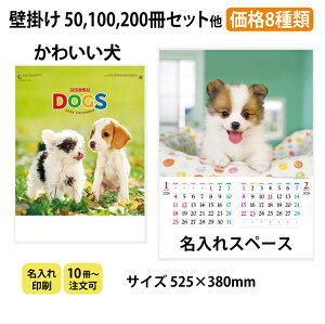  Ǌ|J_[y킢 IC-203H 2026z  Dog q hbOJ_[  J_[ Ǌ| IWi 380×c525mm  Xy[XLX Nj