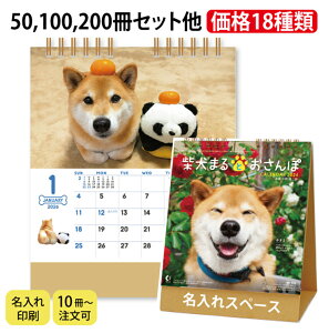  2026 J_[ nk-529  Č܂Ƃ J_[ Č  J_[    ܂ SNS  IWi NAi dog hbO  mxeByz