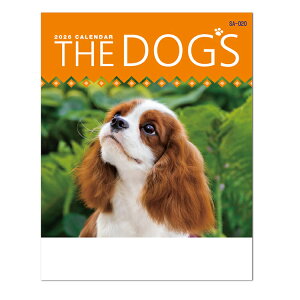 î Ǌ|J_[ 2026 ySA-020 THE DOG`sz Ǌ| ubN^Cv J_[ ybgJ_[ J_[ J_[  IWi   lC  ItBX 