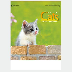 î Ǌ|J_[y킢L IC-201H 2026z J_[ Ǌ| 380×c525mm Ch  Xy[XLX NjbN a@ wZ ItBX L ˂ y