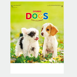 î Ǌ|J_[y킢 IC-203H 2026z  Dog q hbOJ_[  Ǌ| 380×c525mm  Xy[XLX NjbN a@ wZ ItBX