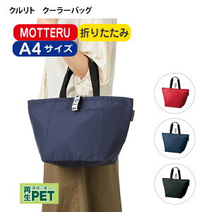 3璍\uTR-1100 Ng N[[obO MOTTERUviȂjۗobO N[[obO GRobO RpNg ܂肽 A4 obO WobO  Vv 