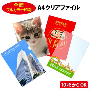 yIWi NAt@CzA4 ʑSʃJ[ 4F+ 220×310mm  ItZbg If}h ʐ^Y NAt@C NAz_[  IWi mxeB 