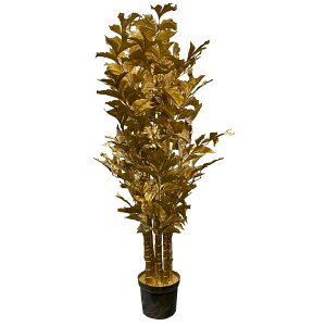 tFCNO[ S[hvi[ 60×160  O[  킢 ϗtA  CeA pl t  A rO  T JtF 蕨 v[g Mtg a