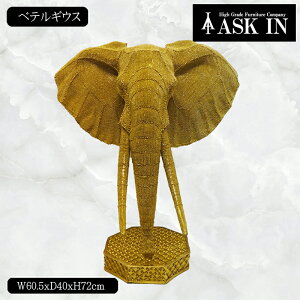 �x�e���M�E�X �]�E �L���L���@�S�[���h �I�u�W�F �C���e���A �C���e���A���� ���� �u�� �C���e���A�G�� ������� ���������� ���� �G�� ���� ���r���O �_�C�j���O �I�t�B�X ���E���W ���蕨 