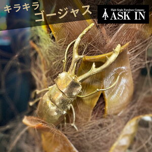 IjN S[h NK^ IuWF 킪   CeA CeA  u CeAG    G  rO _CjO ItBX EW 