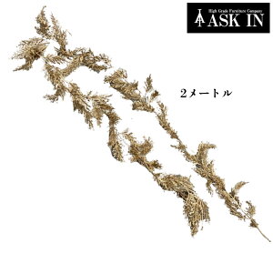 tFCNO[ Ob^[ 2m CeA  Vo[ S[h NX}X  ϗtA  CeA t  A T JtF 蕨 v[g Mtg a 