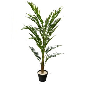 tFCNO[ Go[tbV 60×150  O[  킢 ϗtA  CeA pl t  A rO  T JtF 蕨 v[g Mtg a