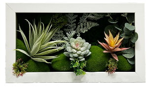 G} EH[O[ tFCNO[  20x35cm O[ Ǌ|  킢 ϗtA   CeA O[t[ pl t A rO  v[g T