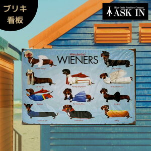 uLŔ TCv[g TC{[h A[gpl  RXv ~j`A_bNXth  AJG 30x20cm g AJ Be[W  AJW AJ