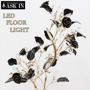 yLEDtztAv v Cg tAX^h X^hCg Ɩ tACg ubN CeA  킢 LL o KN [Y xbhTCh Q 蕨 k 