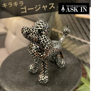  v[h IuWF ~[IuWF Vo[ CeA CeAG  u 킢 X EW X zXg Xg o[ fBXvC Xܗp  rO J^ 