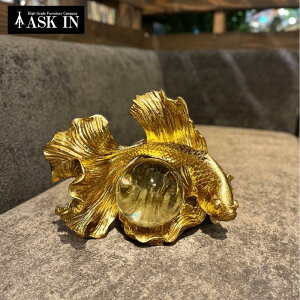 tBbV  S[h KX IuWF CeA  u CeAG    rO _CjO AeB[N ItBX EW 蕨 J^ v[