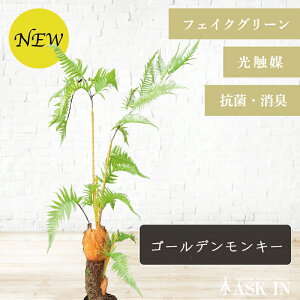 S[fL[ ^Jr lHϗtA 160cm G} R hL ϗtA  tFCNO[ CeAO[ A rO  v[g T JtF Vz Mtg AXN