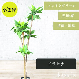 hZi lHϗtA 165cm G} R hL ϗtA  tFCNO[ CeAO[ sv ȒP ͂Ȃ 킩Ȃ A  rO  v[