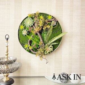 G} EH[O[ tFCNO[ ی^  50x50cm O[ Ǌ|  킢 ϗtA  CeA O[t[ pl t A rO  v[g T