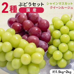 VC}XJbg NC[[W 2Zbg 2[ 쌧Y Ԃǂ  }XJbg t[c ʕ  쌧 Yn YnI ƒp lߍ킹 Hה p Mtg v