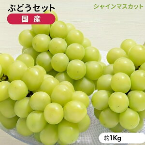 VC}XJbg2[ 1kg 쌧Y Ԃǂ  }XJbg t[c ʕ 2025 2026 Gi ƒp YnI  Ȃ 炲ƐHׂ 嗱 x Â    M