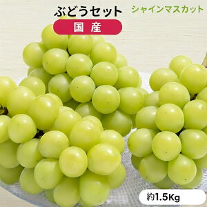 VC}XJbg3[ 1.5kg 쌧Y Ԃǂ  }XJbg t[c ʕ 2025 2026 Gi ƒp YnI  Ȃ 炲ƐHׂ 嗱 x Â    