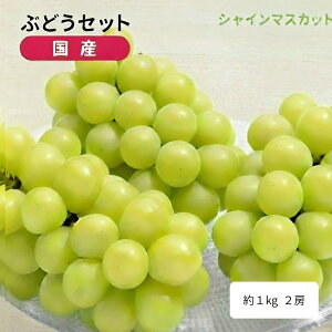 VC}XJbg2[ 1kg 쌧Y Ԃǂ  }XJbg t[c ʕ 2025 2026 Gi ƒp YnI  Ȃ 炲ƐHׂ 嗱 x Â    M