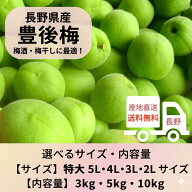 梅 豊後 大粒 特大 贈答 自家用 家庭用 カリカリ梅 シロップ漬け 梅酒 3kg 5kg 10kg 3L 4L 5L 贈答用 ギ…